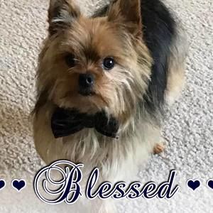 Meet your Posher, Cathy